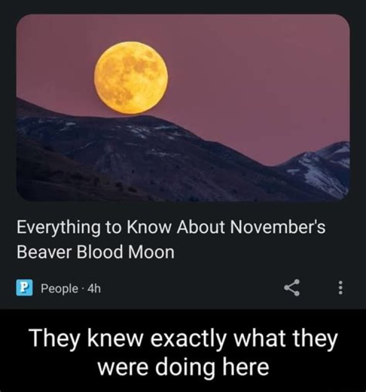 
Everything to Know About November’s Beaver Blood Moon 