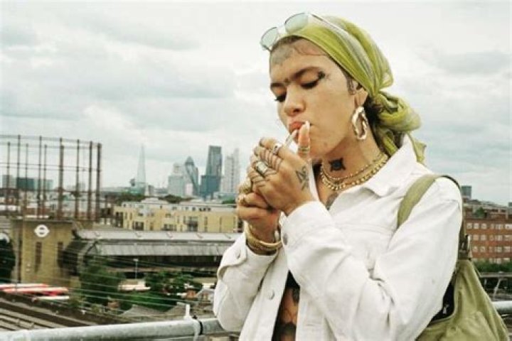 Is Greentea Peng Pregnant With Her Husband? Aria Wells Expecting Baby Or Not