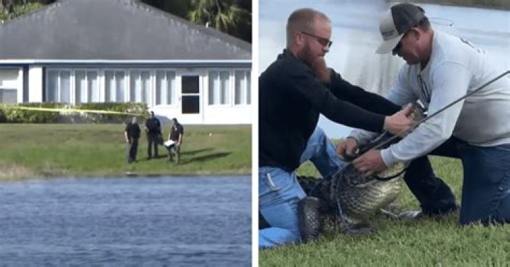 
‘It was definitely a fight’: Florida woman, 85, dragged into water and killed by 10-foot alligator while walking dog 