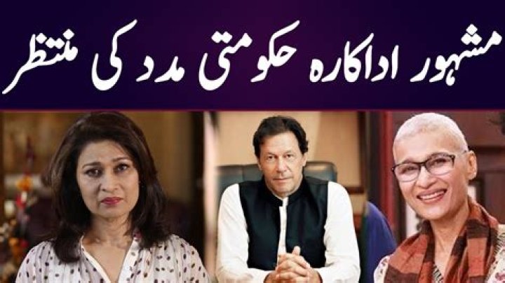 
Naila Jaffery Age, Birthday, Wikipedia, Who, Nationality, Biography 